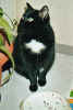 BILD0001.JPG (25495 Byte)