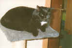 BILD0002.JPG (18622 Byte)