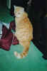 BILD0004.JPG (23375 Byte)