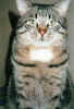 SAVE0028.JPG (29447 Byte)